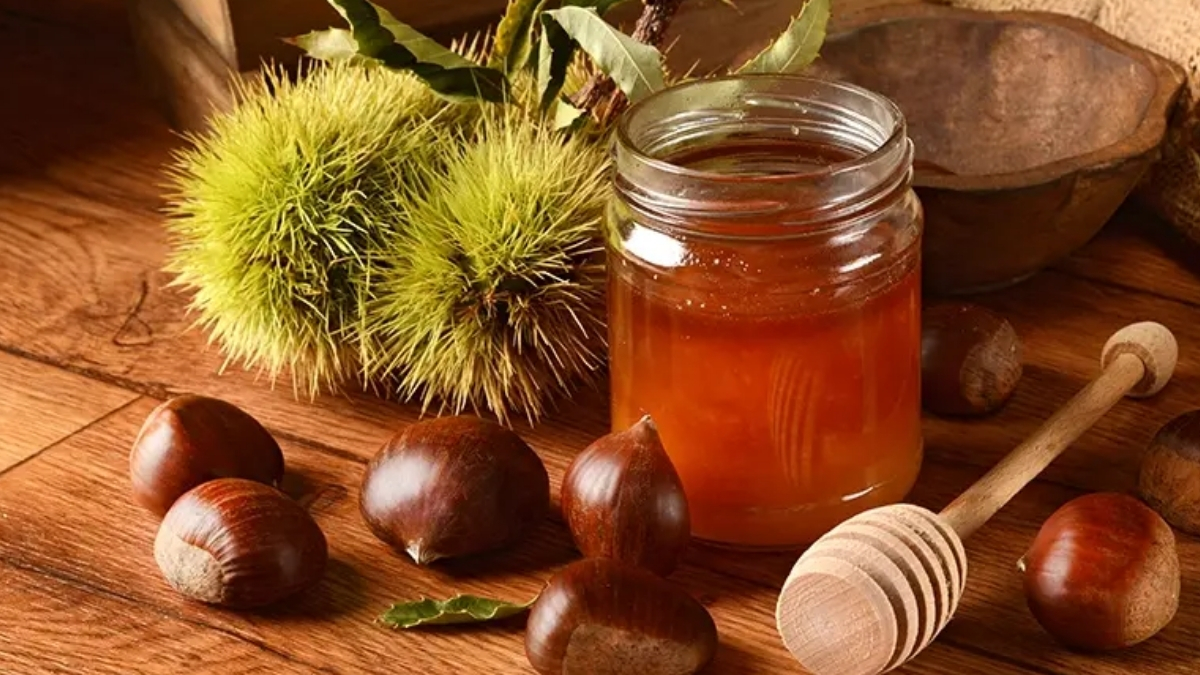 Mide rahatsızlıklarına iyi geliyor, öksürüğü anında kesiyor! Kış mevsiminin vazgeçilmezi: Kestane balı faydaları