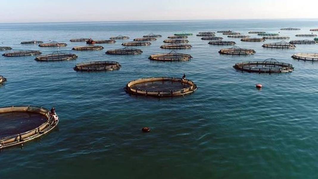 Su ürünleri avcılığı sözleşmeli üretim kapsamına alındı