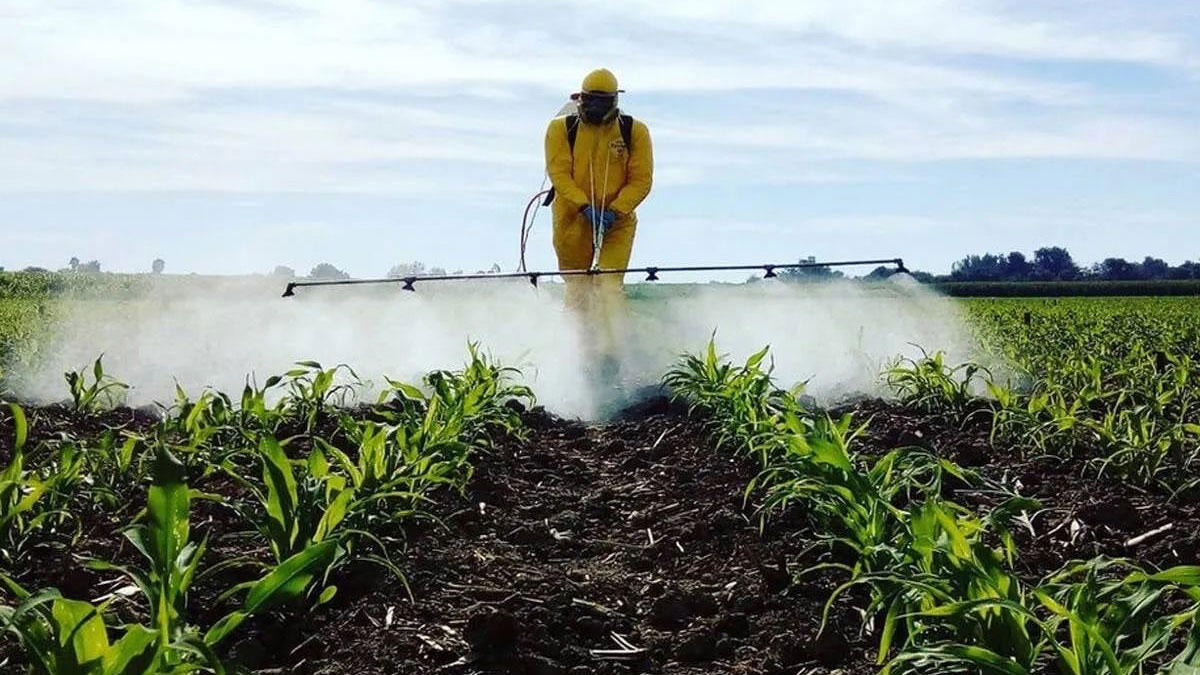 Türkiye, AB’nin gıda güvenliği listesinde zirvede: Her 4 ihbardan 3’ü ‘ciddi risk’ kategorisinde