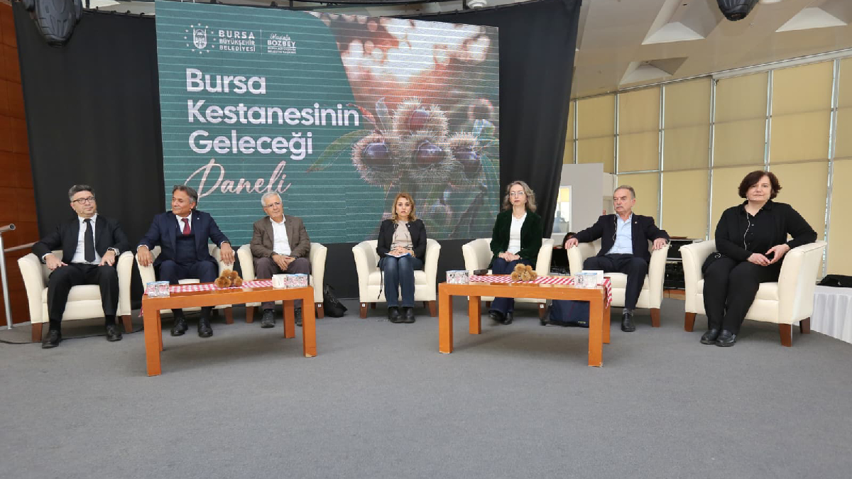 Büyükşehir Belediyesi, Bursa kestanesinin eski günlerine dönebilmesi için çalışmalarını sürdürüyor