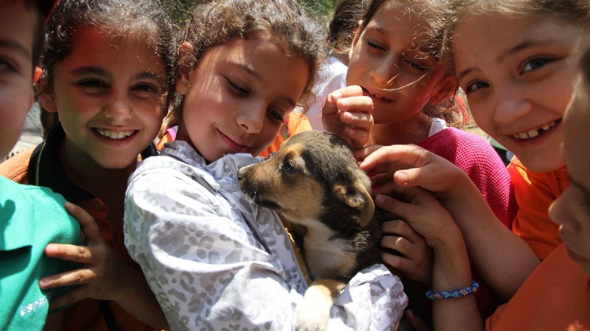 1 yılda 40 bin can dosta şefkat eli uzandı