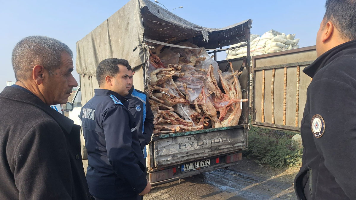 Gaziantep'te gıda skandalı: Rastgele durdurulan araçtan 2 ton bozuk et çıktı