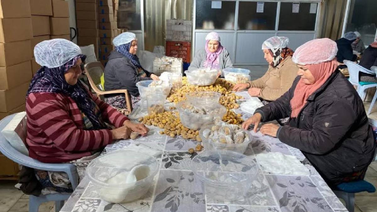 Türkiye’de üretimin %33’ü bu şehirden! İhracat için hazırlık başladı: Yıllık üretim 24 bin tonu geçiyor