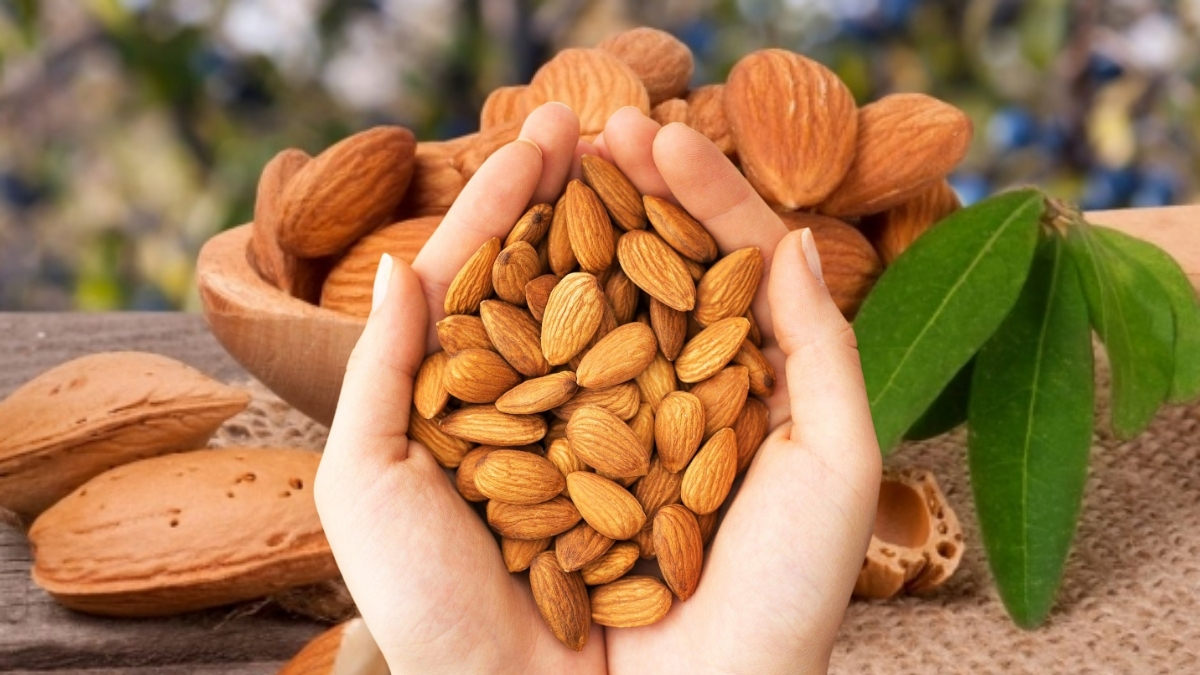 Uzmanlar düzenli tüketimi öneriyor! Kalp, cilt ve beyin sağlığını iyileştiriyor: İşte badem tüketiminin vücuda etkileri