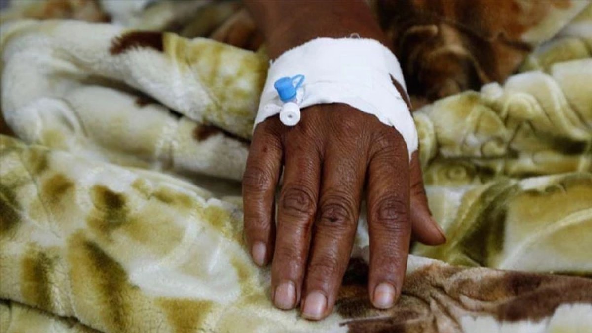 Nijerya'da Lassa ateşi nedeniyle ölenlerin sayısı 185'e yükseldi