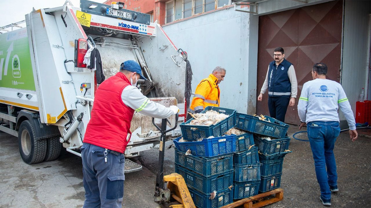 Vatandaşa yedireceklerdi! Depoda çürümüş 25 kasa tavuk bulundu