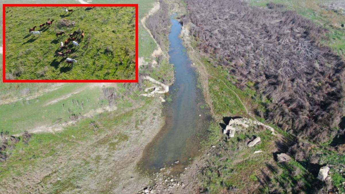 Barajlar resmen boşaldı, kesintiler arttı! Su kesintileri her gün düzenli uygulanacak