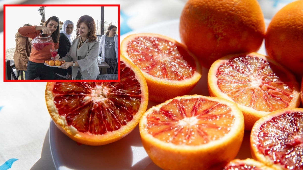 Kadın Kooperatifi başvurdu, başarıya imza attı! Mersin’in kan portakalı coğrafi işaret tescili aldı