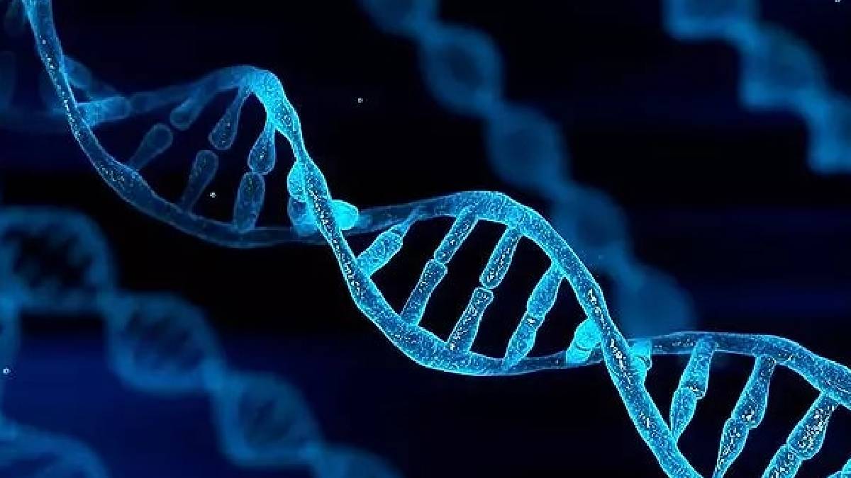 İnsan DNA’sındaki kritik zayıflık ortaya çıktı: Mozaik mutasyonlara yol açıyor
