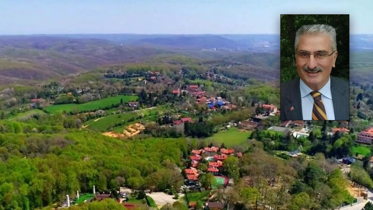 Betonlaşmaya karşı radikal öneri: Şehirdeki tüm yeşil alanlar 'orman' statüsüne alınmalı!