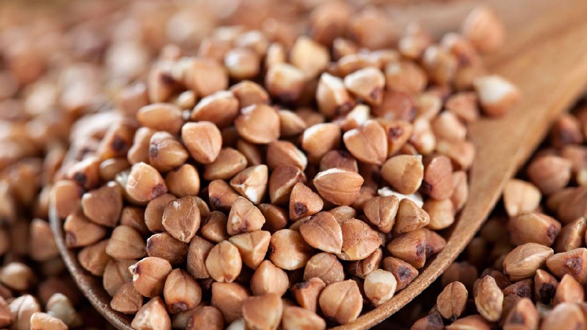 Herkes yulaf diyor ona yöneliyor! En sağlıklı tahıl belli oldu: Ne yulaf ne de çavdar…