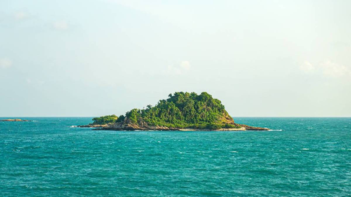 Dünyanın en zenginleri, ıssız adalarda yeni devletler kuruyor