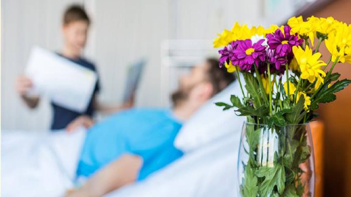 Hastaya neden çiçek götürülür? Antik Mısır inancı günümüz adetlerini şekillendiriyor