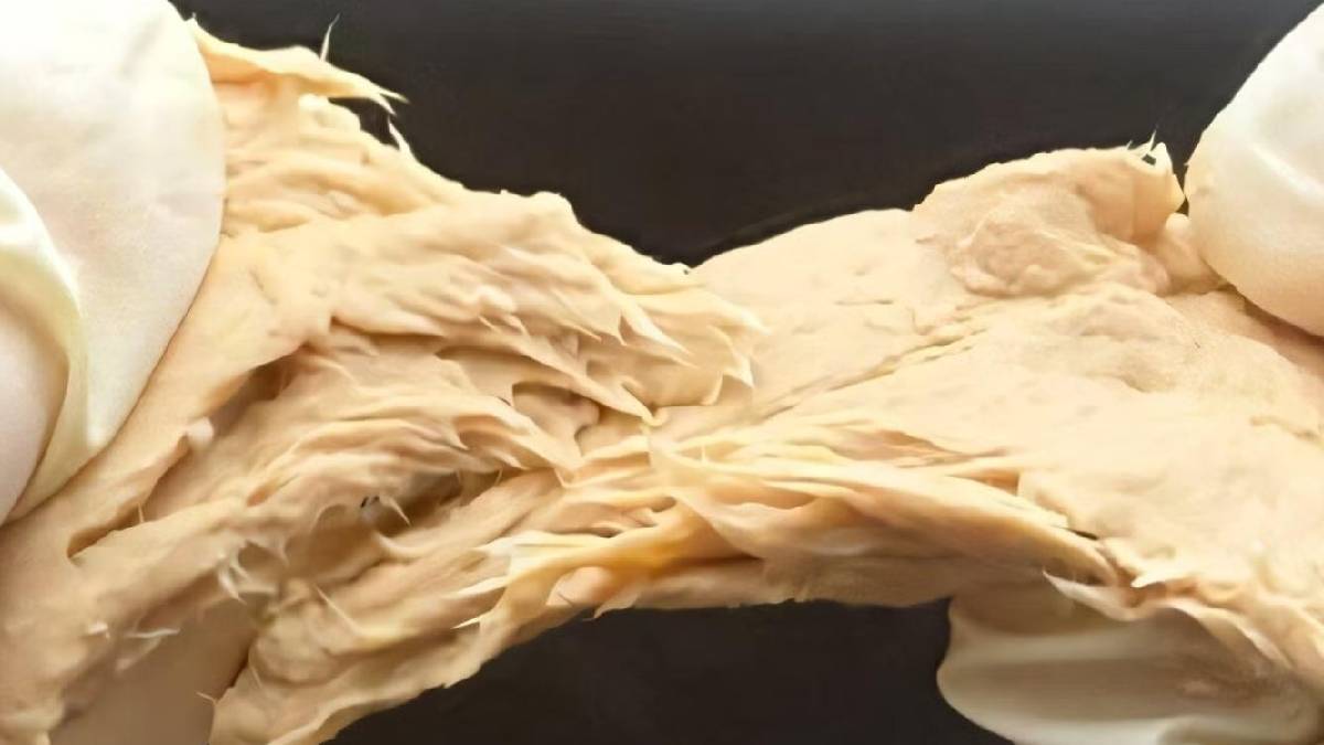 Laboratuvarda geliştirilen “mantar eti”, beyaz etin yerini alabilir