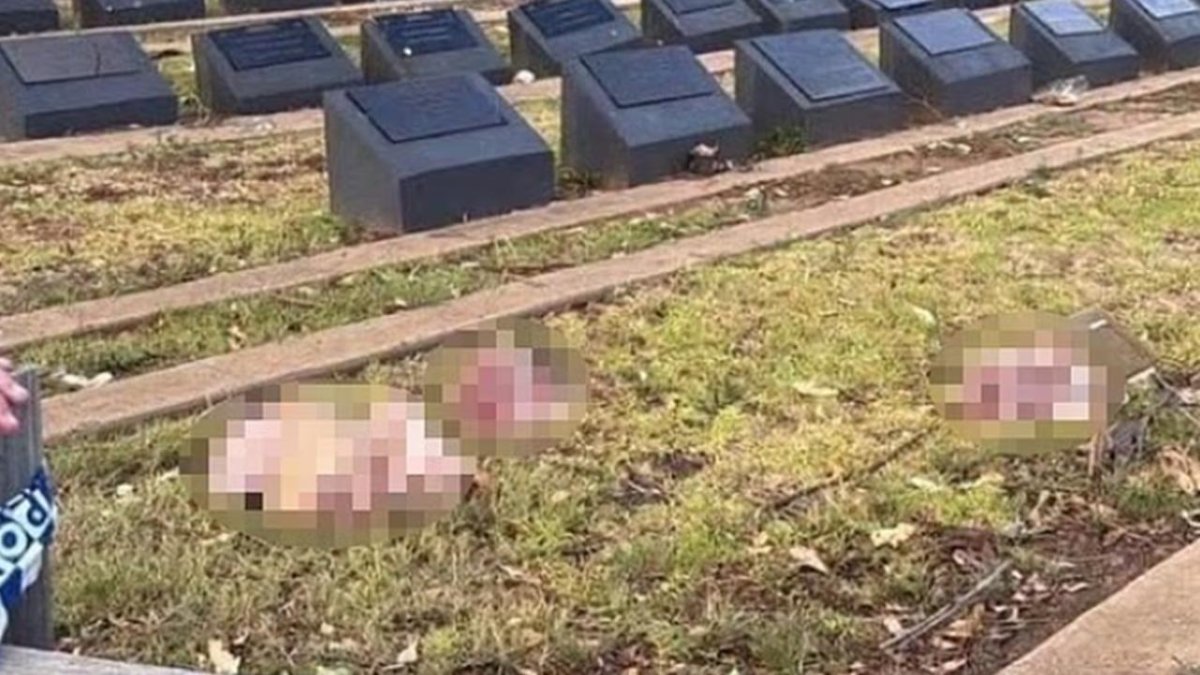 Sydney’de Müslüman mezarlığına saldırı