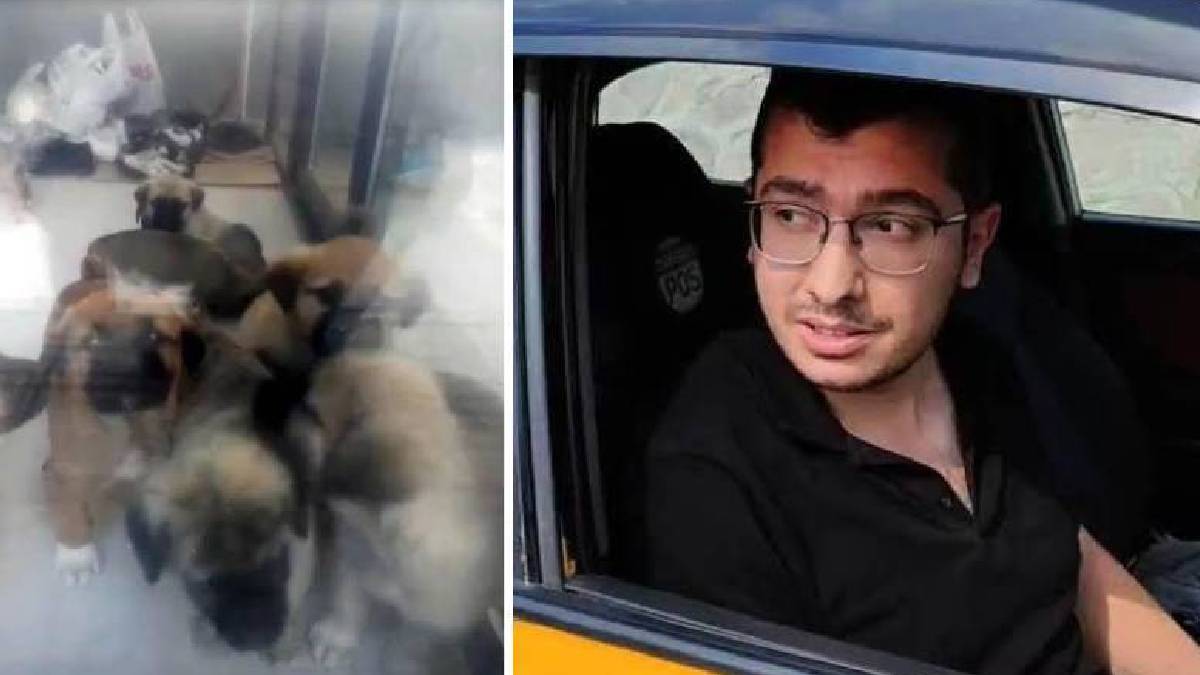 Gündem Köpekleri evinde katledip istismar etmişti: Doktor Duman'a verilen cezanın gerekçesi açıklandı