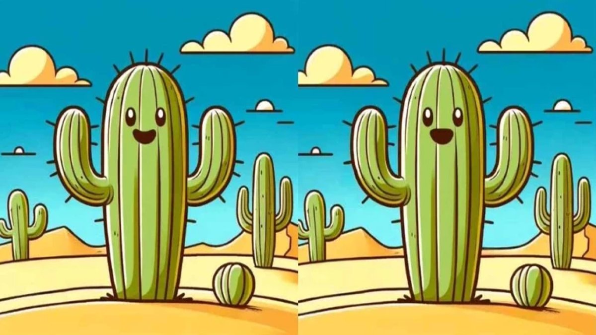 14 saniyelik zeka sınavı! Çöldeki kaktüs görselinde saklı 3 farkı bulabilecek misiniz?