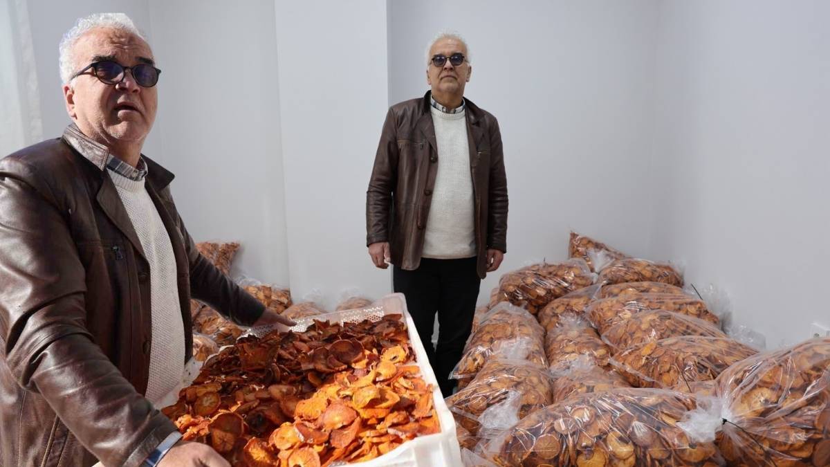 Yaşı 60 TL, kurusu 650 TL! Mahallede kurulan tesiste kurutuldu: İlk ihracat Almanya’ya yapıldı