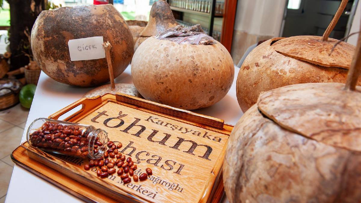 Karşıyaka’da yerel tohum bereketi: 1 yılda 200 bini aşkın tohum paketi dağıtıldı