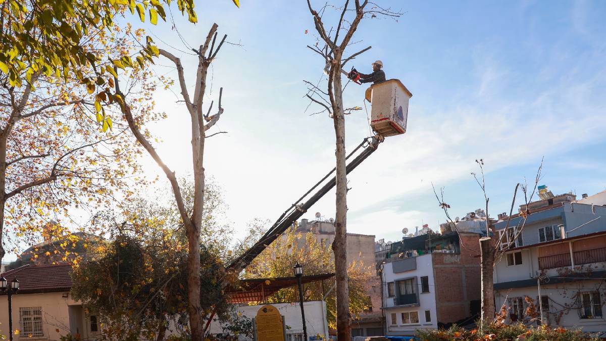 Başkan Yetişkin’den kentin tarihi mekânlarında bakım çalışması