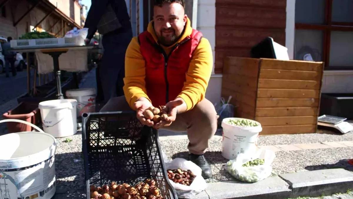 Dağlardan toplanıyor, hiçbir emek istemiyor! ‘ Beşbıyık’ olarak tezgaha çıkıyor, 50 TL’den alıcı buluyor