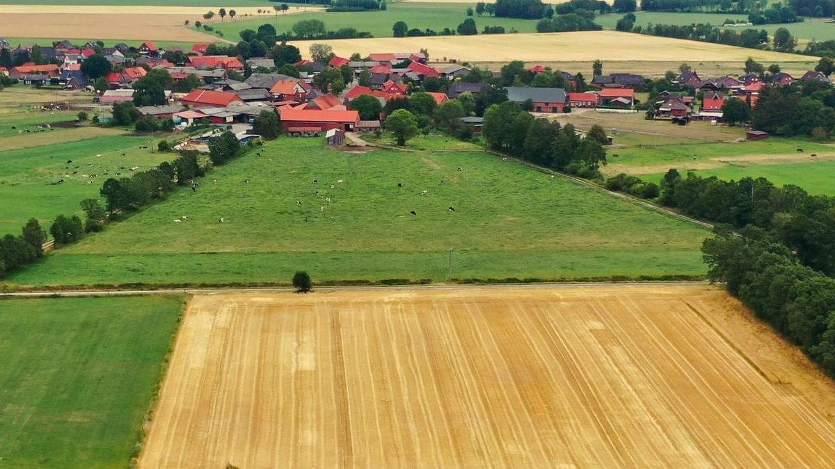Son 5 yılda yüzde 930 artış: İşte tarla fiyatlarının en çok arttığı iller