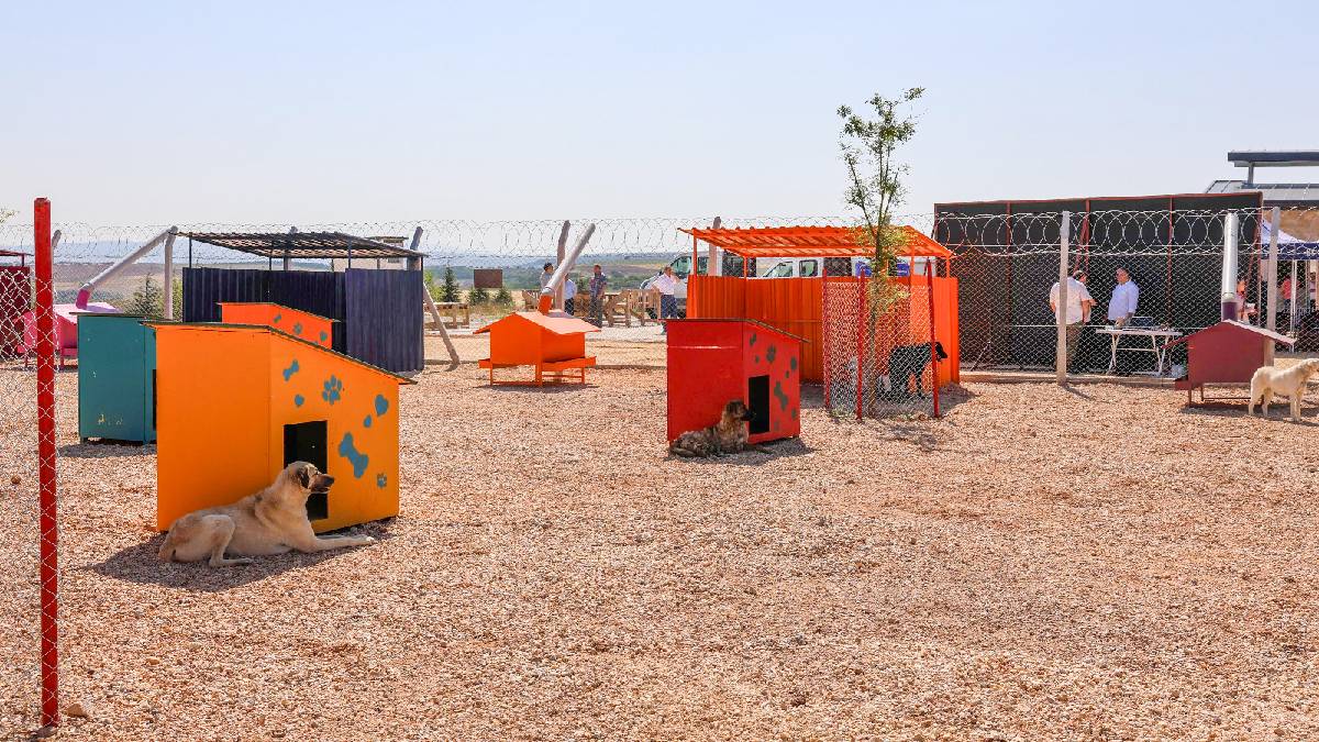 Eskişehir’de 2025 yeşille, suyla ve yaşamla buluştu