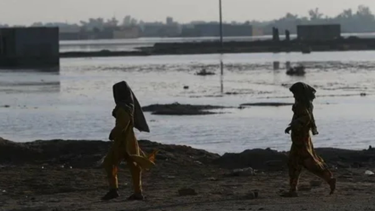 DSÖ: Dünyada her 8 kişiden biri göç nedeniyle yer değiştiriyor