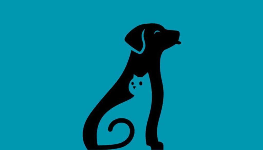 Kişilik testi: Hayatta size en çok enerji veren şey nedir? İlk gördüğünüz şey bunu ortaya çıkaracak