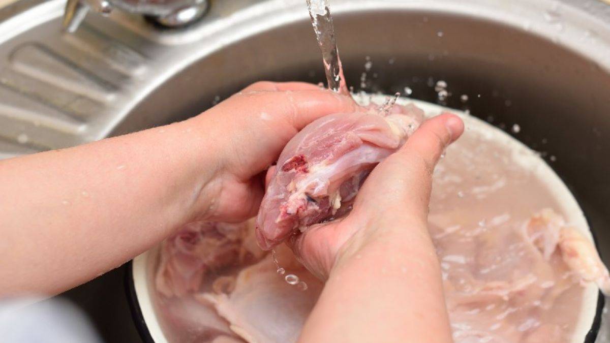 Bu izlediklerinizden sonra bir daha tavuğu yıkamayacaksınız! İşin uzmanı bizzat kanıtladı: Bakteri deneyi ağızları açık bıraktı