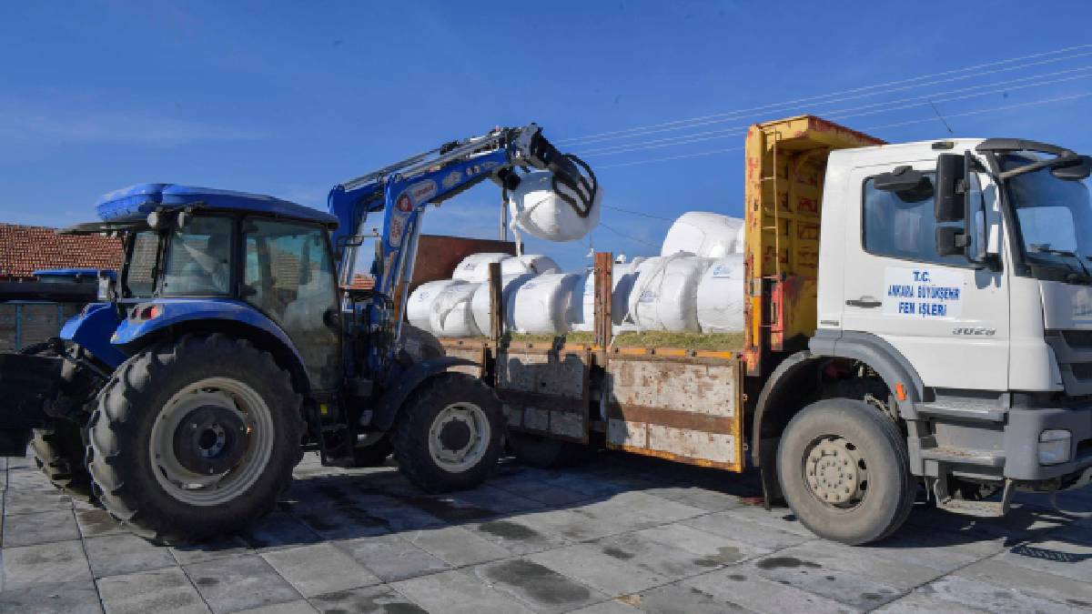 ABB, mısır silajı desteği ile üreticilerin yanında olmaya devam ediyor