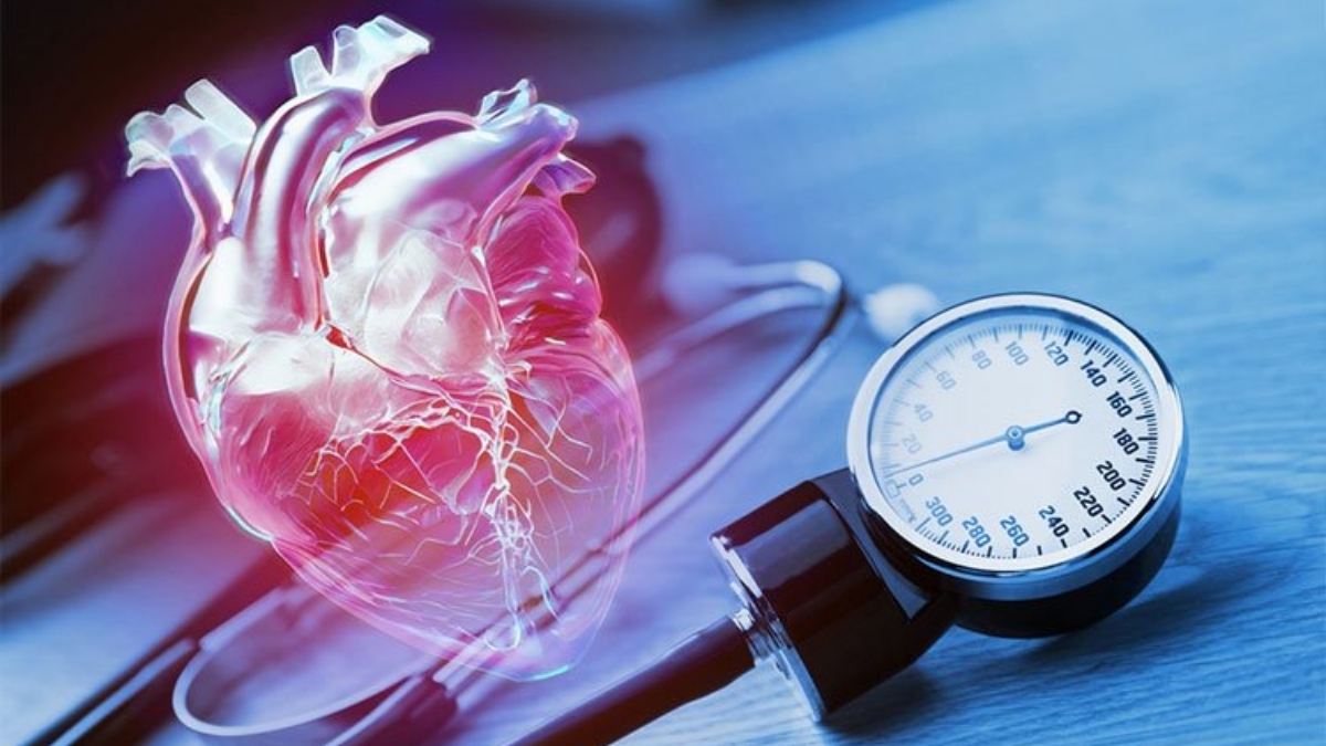 Kalp sağlığını korumak için ne yapılmalı? Bu 8 alışkanlık yaşam kalitenizi artıracak: Beslenme, uyku, hareket…