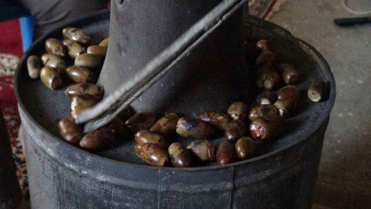 Kestaneye gücü yetmeyen onu aldı! Kilosu 200 değil 500 hiç değil, 50 TL’den satılıyor! Pazarın gözde ürünü oldu