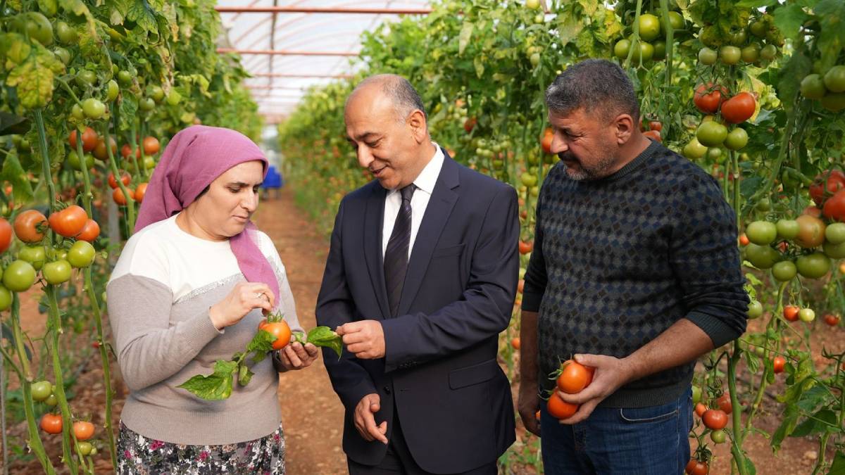 Gıda perakendesinde ‘sıfır risk’ hamlesi: ŞOK Marketler kendi pestisit laboratuvarı ile analiz süresini 30 dakikaya indirdi