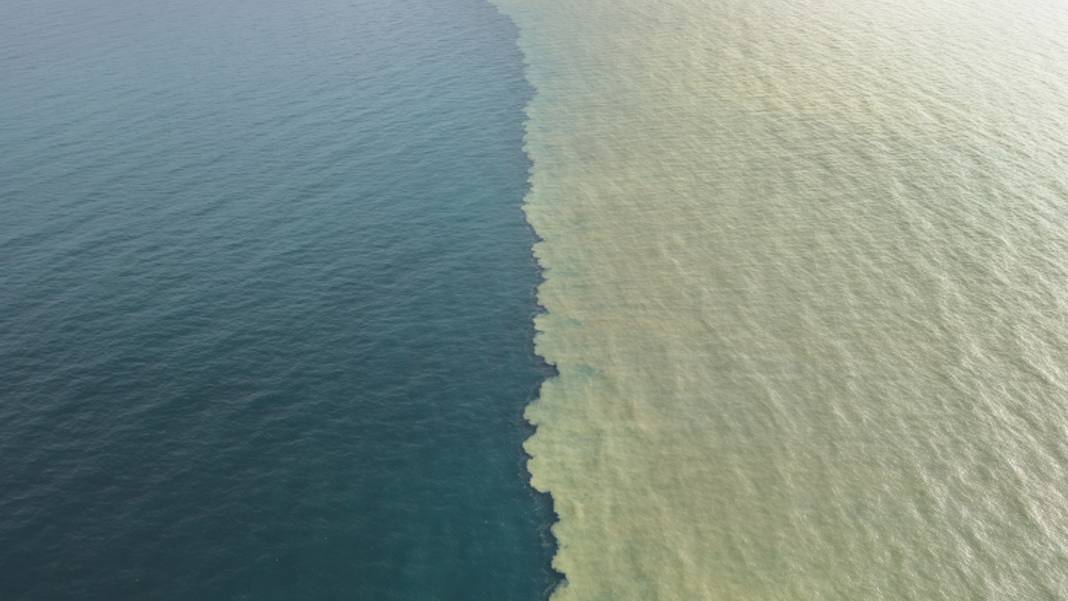 Karadeniz ikiye bölündü: Denizin rengi kahverengi oldu