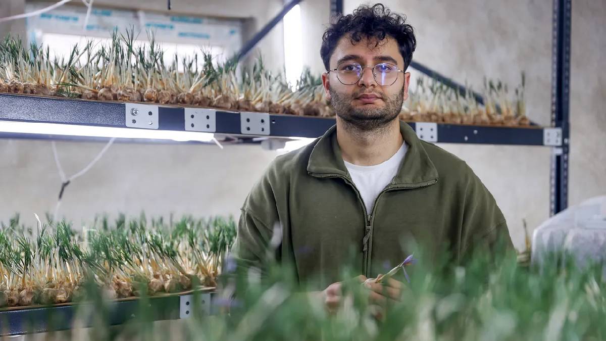 Topraksız üretiyor, yıllık kazancı 1 milyon TL’yi buluyor! Denemek istemişti tesisi büyütme kararı aldı