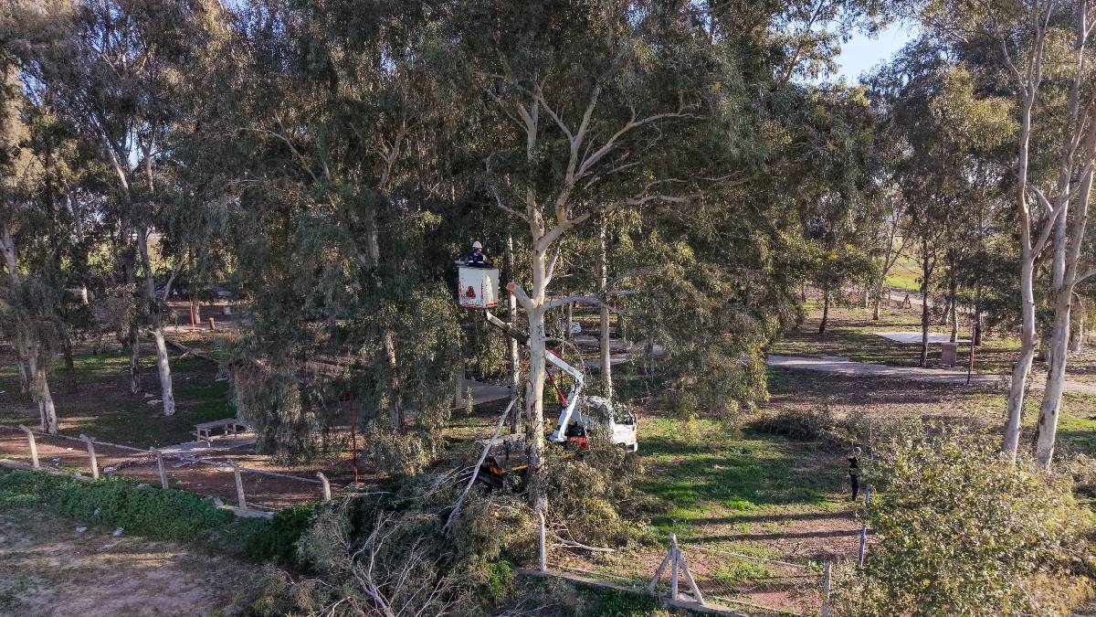 Efeler’in ekipleri Tepecik Mesire Alanı’nda