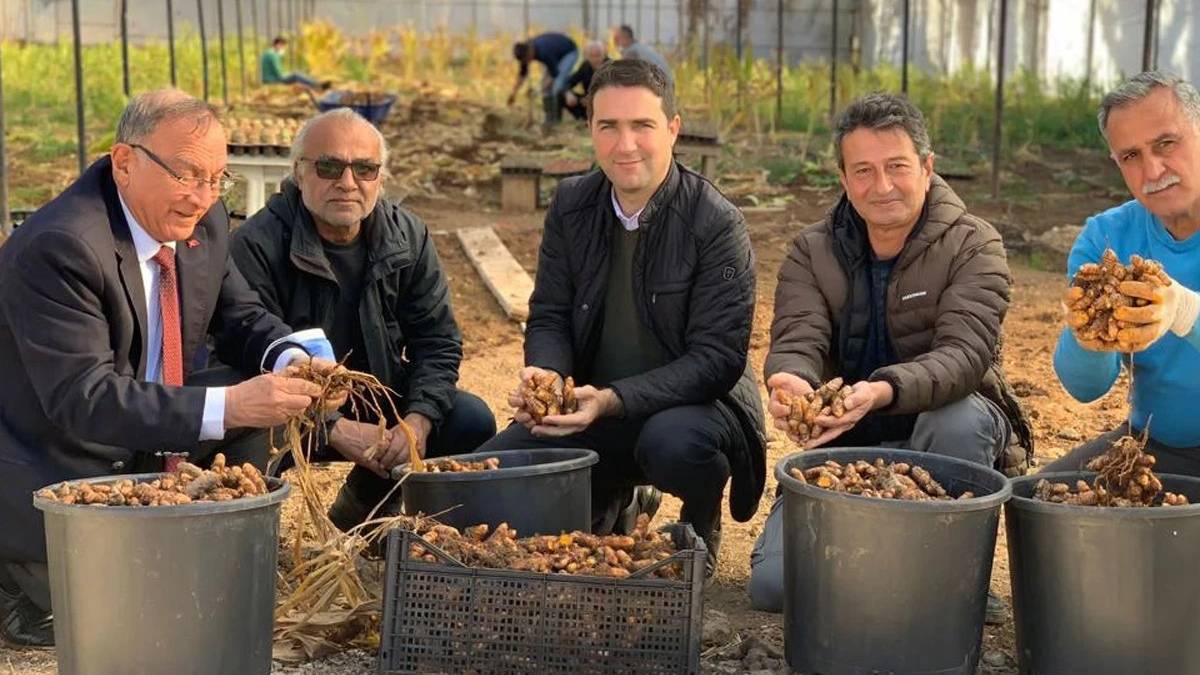 Gram gram satılıyor, eken paraya para demiyor! Sağlığın bir numaralı destekçisi…