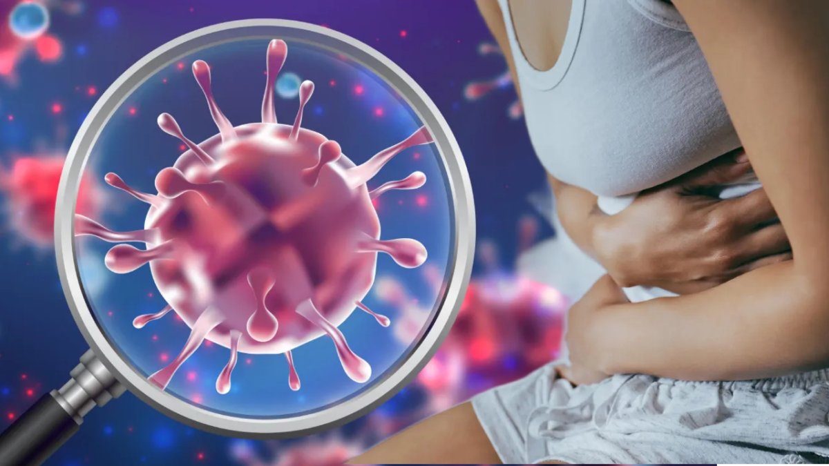 "Mide Gribi" sezonu başladı! Yeni "Norovirüs" türünden nasıl korunmalıyız? En çok neyden bulaşıyor? İşte bilmeniz gerekenler...