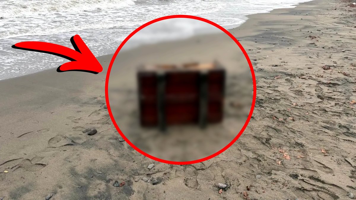Samsun’da sahile vuran esrarengiz sandık! Üzerinde Rusça yazılar bulundu