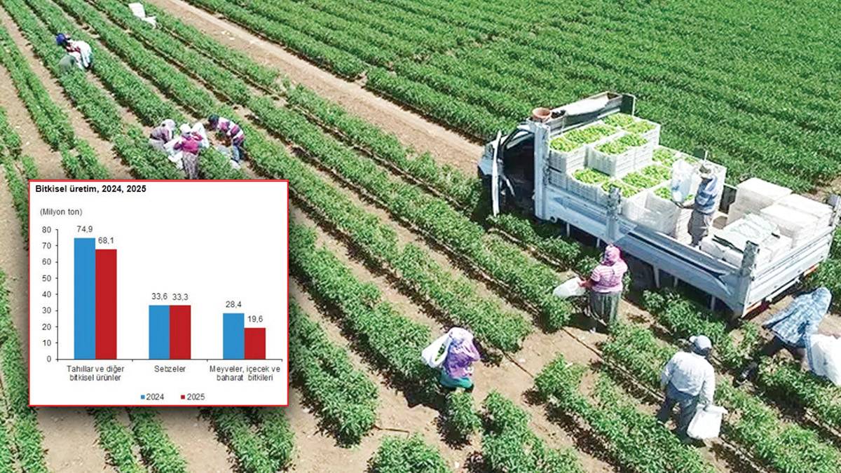 Tarlada ürküten 'rekolte'