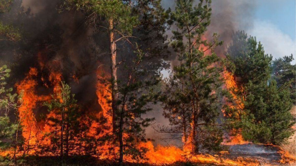 İklim krizinin 2025 faturası: 10 felaket, 120 milyar dolar kayıp