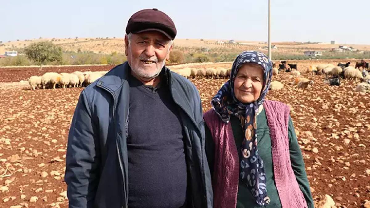 63 yaşından sonra atıldılar, her gün yapmaya başladılar!1 günde 2 katına ulaştılar