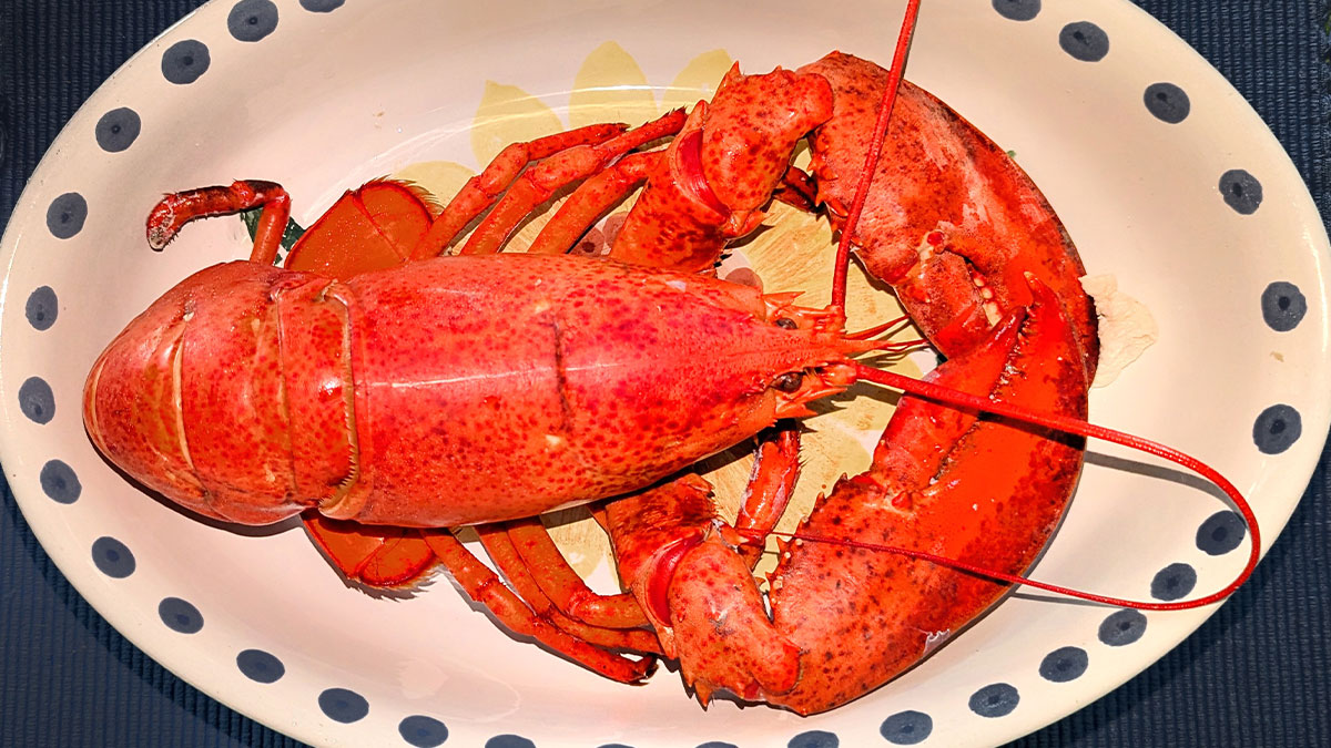 400 bin dolarlık ıstakoz vurgunu: FBI soruşturuyor