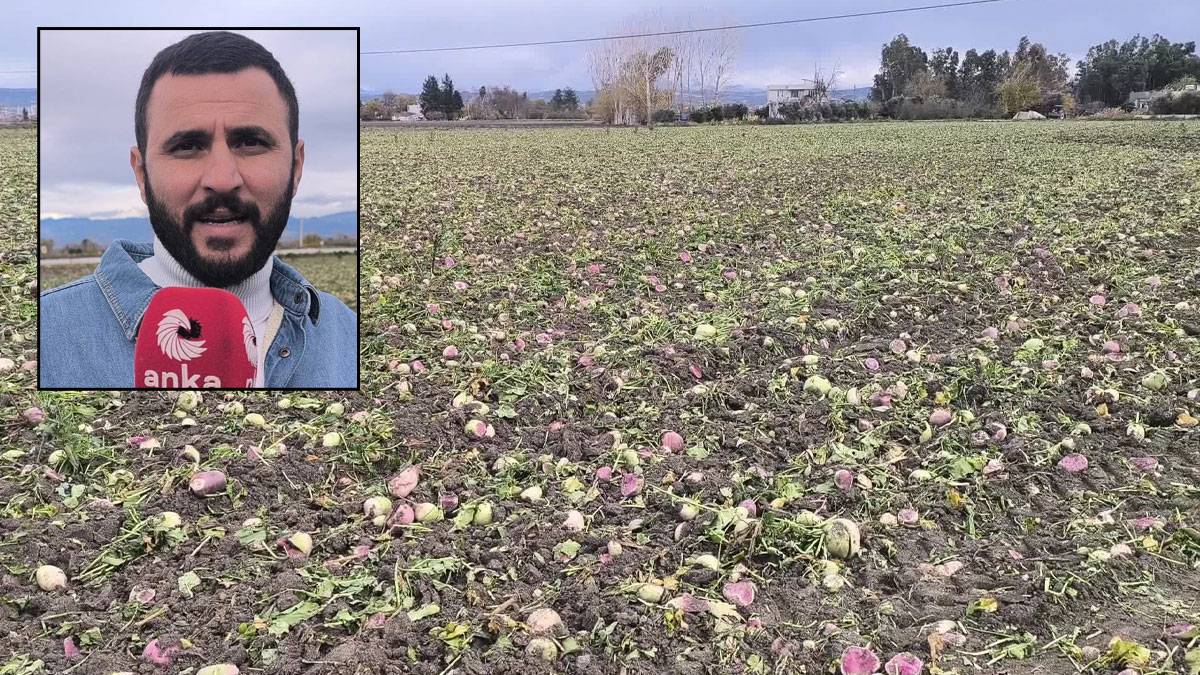 Girdi maliyeti arttı, ürün değeri düştü: Böyle giderse bizi toprağa gömerler