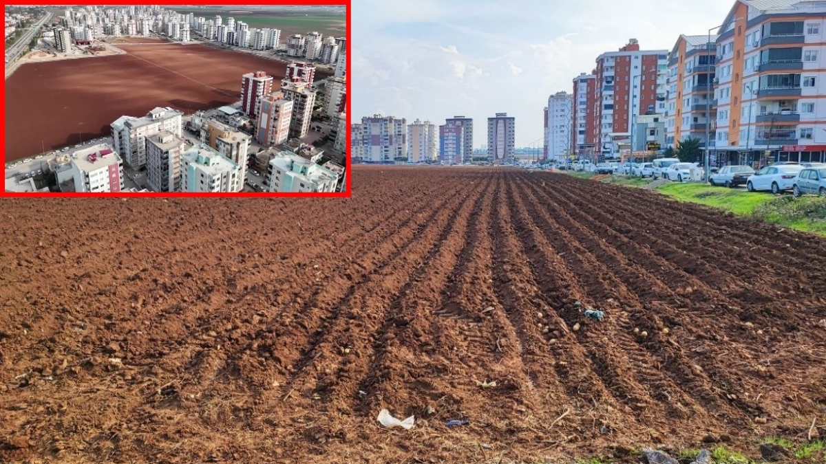Apartmanların arasında kaldı, tarlayı ekmekten vazgeçmedi! Beton yığınlarının ortasında üretim yapıyor