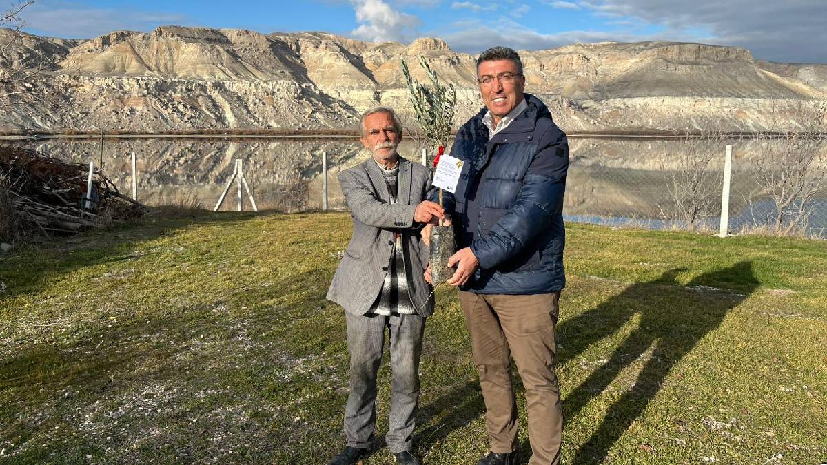 Eskişehir'de tarımsal üretime destek: Üreticilere mavi sertifikalı zeytin fidanları dağıtıldı