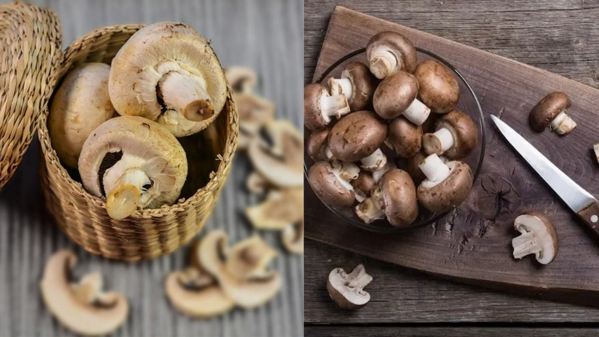 Hem et kadar sağlıklı hem lezzetli! Sofraların yıldızı: Mantarla yapılabilecek yemekler