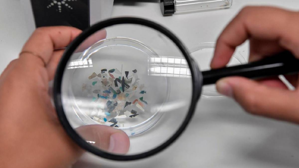 Araştırma: Mikroplastikler erkeklerde kalp hastalığı riskini artırıyor