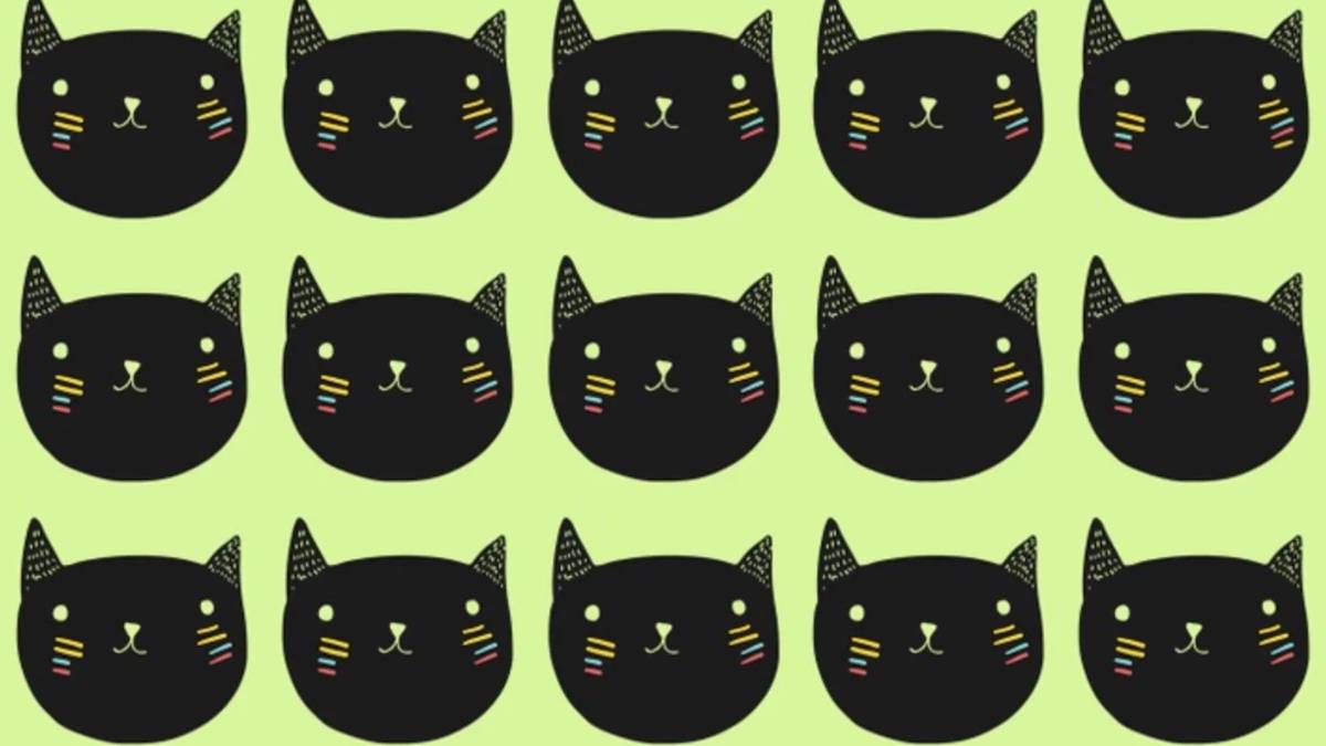 Farklı kediyi 6 saniyede bulan kendini gösterir! Ailenin en zekisi olmaya hazır mısınız?